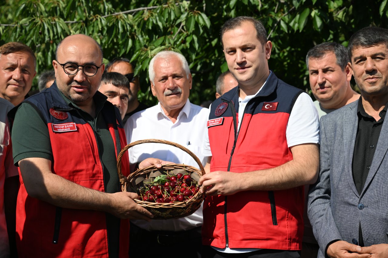 Çığşar'da görev başladı! En geç o toplanıyor, 1600 rakımda yetişiyor, dünyaya ihraç ediliyor...