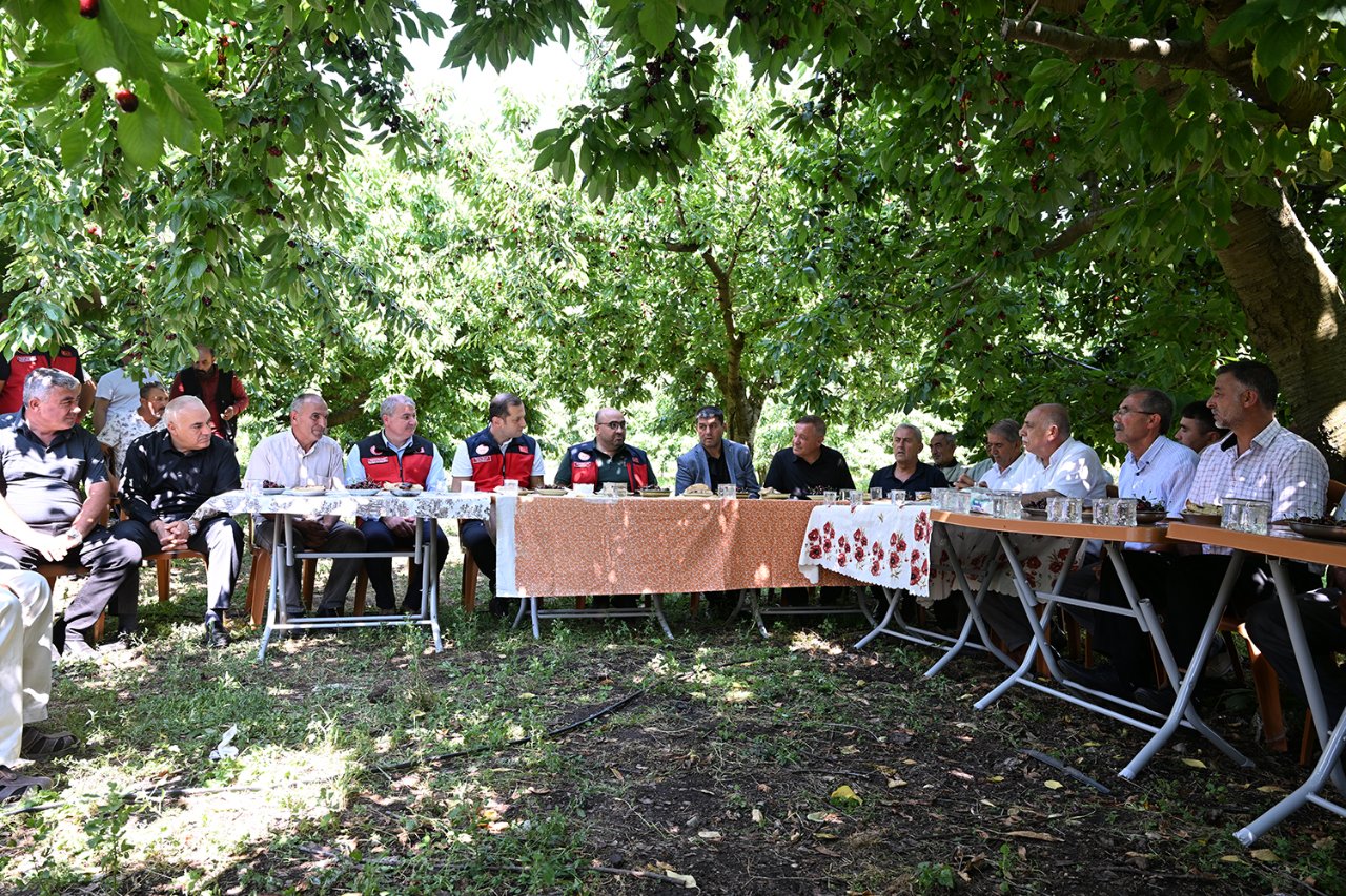 Çığşar'da görev başladı! En geç o toplanıyor, 1600 rakımda yetişiyor, dünyaya ihraç ediliyor...