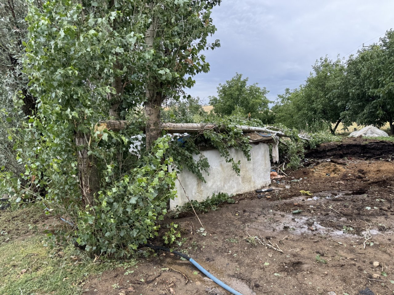 Yozgat’ı hem sağanak hem dolu vurdu! Tarlalar talan oldu