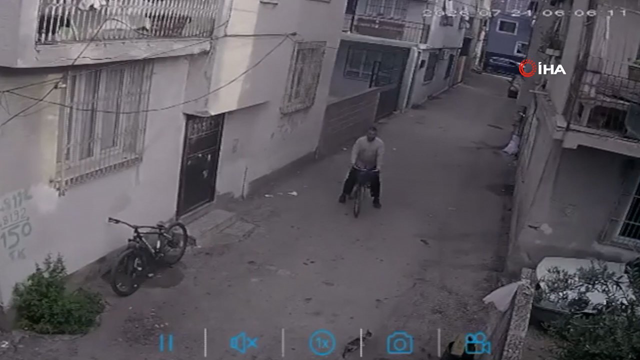 Adana'da pes dedirten hırsızlık! Sokak kedilerinin mamasını böyle çaldı