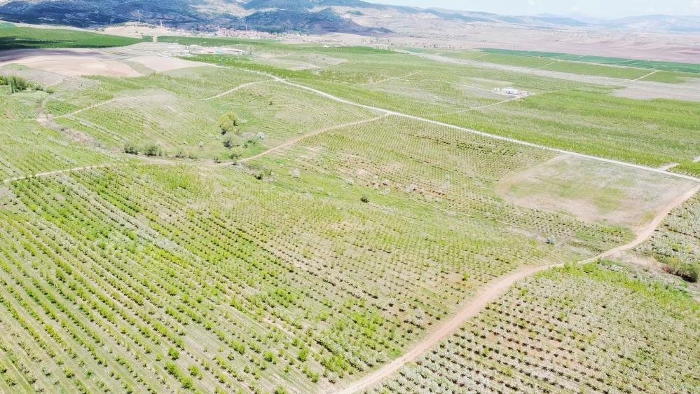 Göç veren köy, örnek projeyle üretim üssü oldu! İşsizlik bitti, refah seviyesi yükseldi