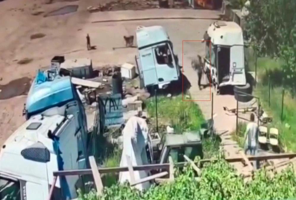 Şırnak'ta başıboş köpek dehşeti! Önce küçük çocuğa, şimdi de yaşlı adama saldırdılar