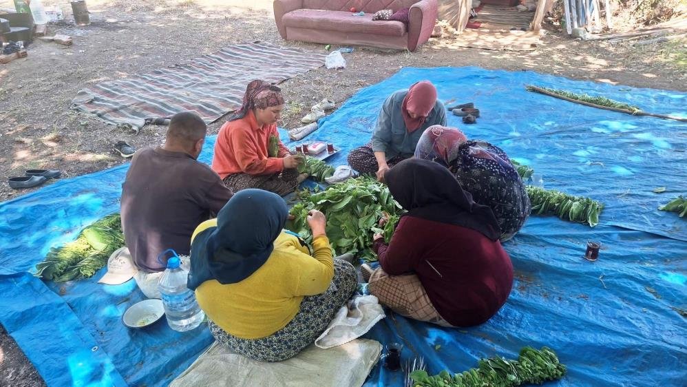 Başfiyat 500 TLye çıktı! Bir zamanlar her hanede üretiliyordu, şimdi sadece 3 üretici kaldı