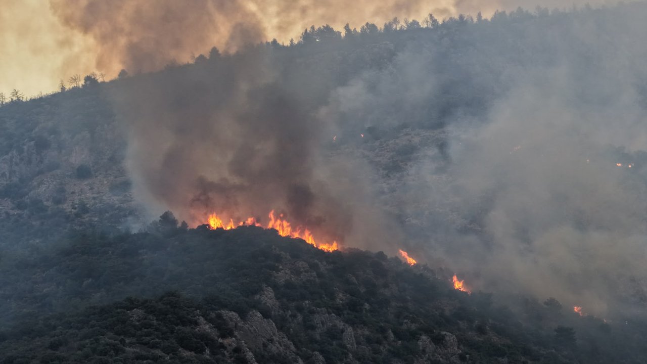 Antalya'da orman yangını devam ediyor!