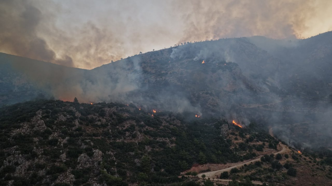 Antalya'da orman yangını devam ediyor!