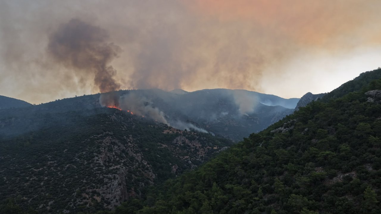 Antalya'da orman yangını devam ediyor!