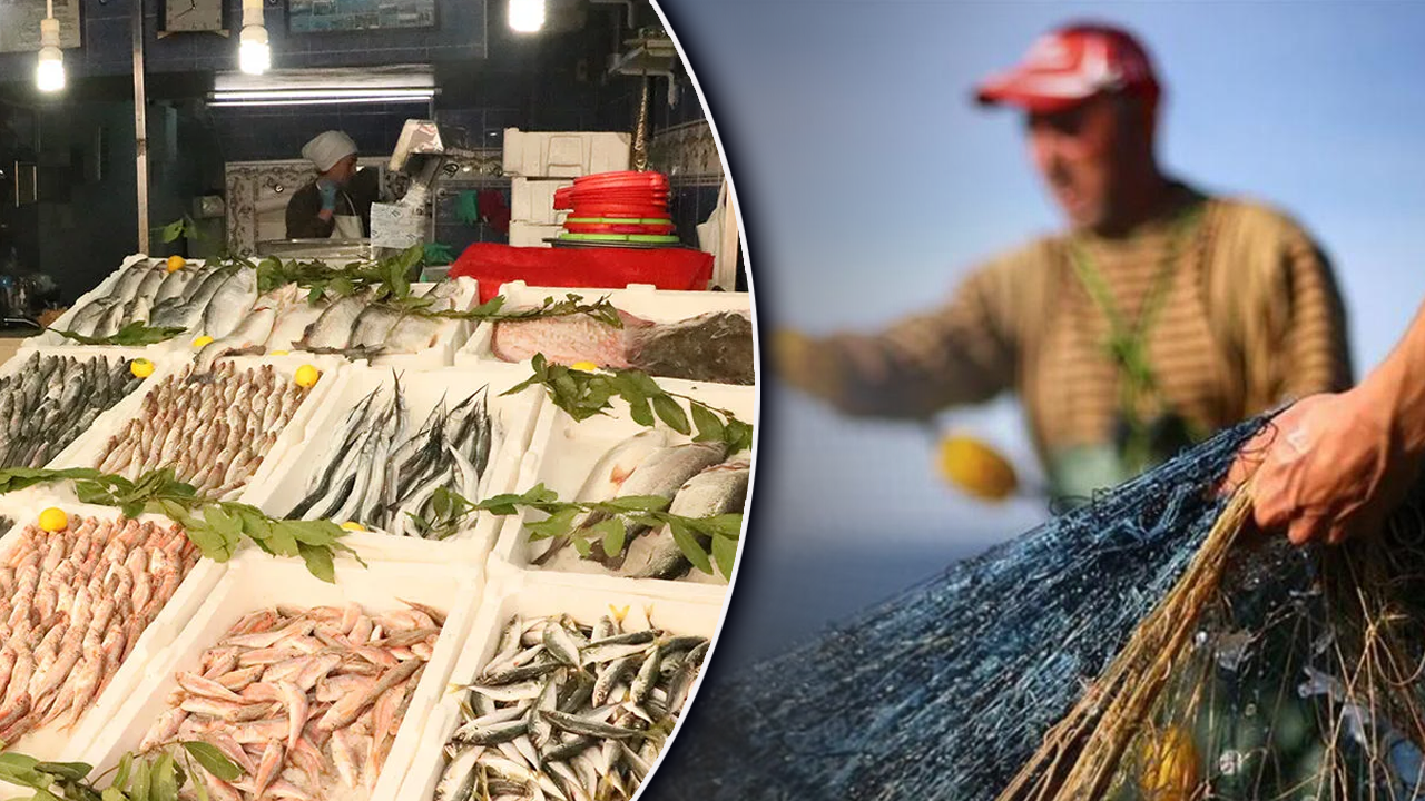 Ne hamsi ne de mezgit! Yazın favorisi belli oldu: Kilosu 350 lira