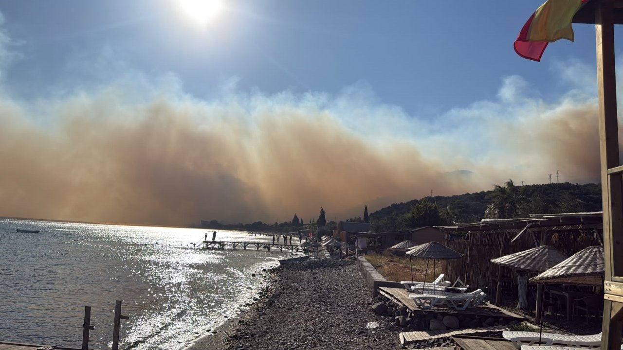SON DAKİKA... Muğla, Antalya, Aydın, Çanakkale ve Balıkesir'de korkutan orman yangınları! İşte son durum