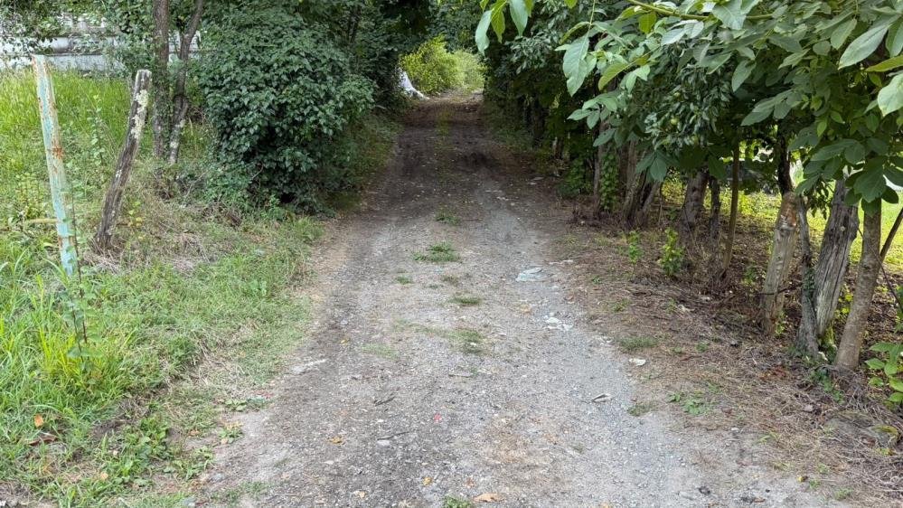 Zonguldak'ta 500 yıllık yol yeniden ulaşıma açılıyor! Çalışmalar 1 hafta içinde başlayacak