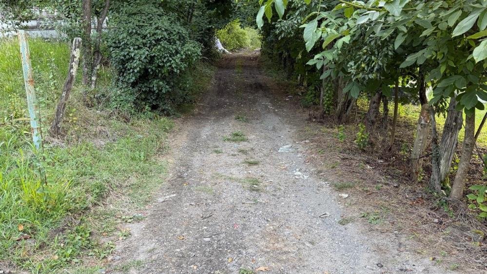 Zonguldak'ta 500 yıllık yol yeniden ulaşıma açılıyor! Çalışmalar 1 hafta içinde başlayacak