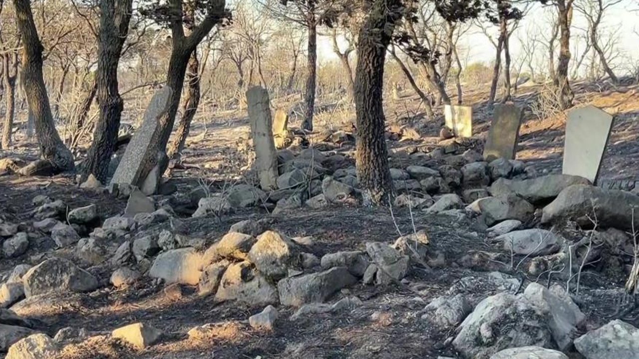 Balıkesir'de kahreden görüntü! Yangın mezarlığı yok etti
