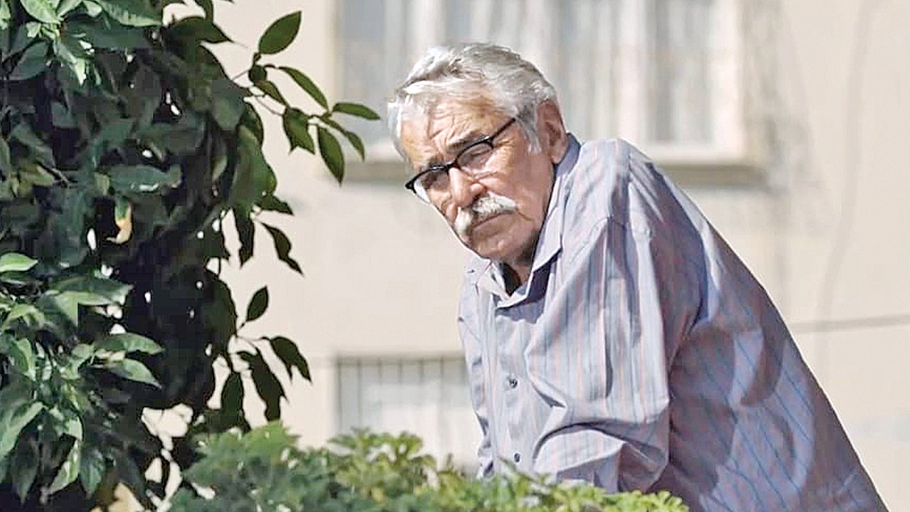 Bir dram filmi seçildi: Oscar adayımız ‘Kesilmiş Bir Ağaç Gibi’