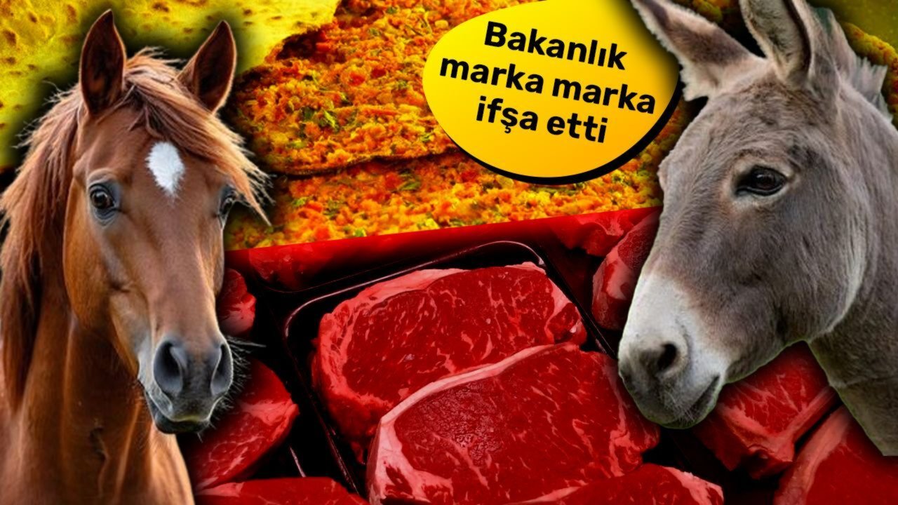 At ve eşek eti tespit edildi! Dev ifşa listesi: Ette tek tırnaklı, peynirde bitkisel yağ skandalı!