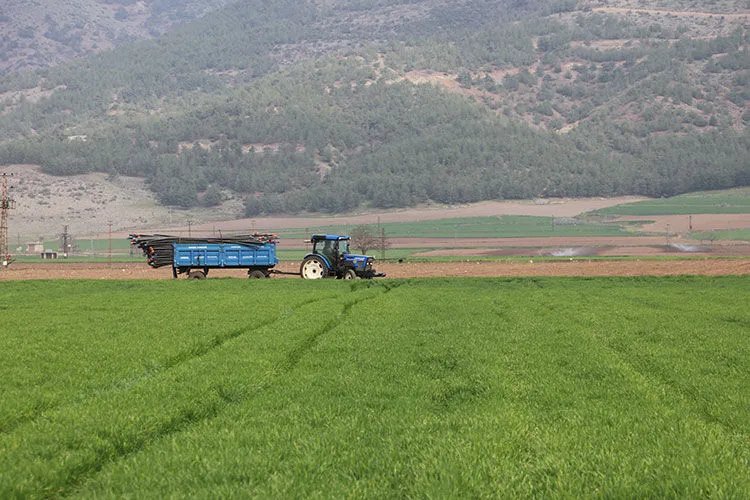 Teknoloji yatırımcıları 712 milyonluk servet teklif etti! 86 yaşındaki çiftçi elinin tersiyle itti, nedeni ise...