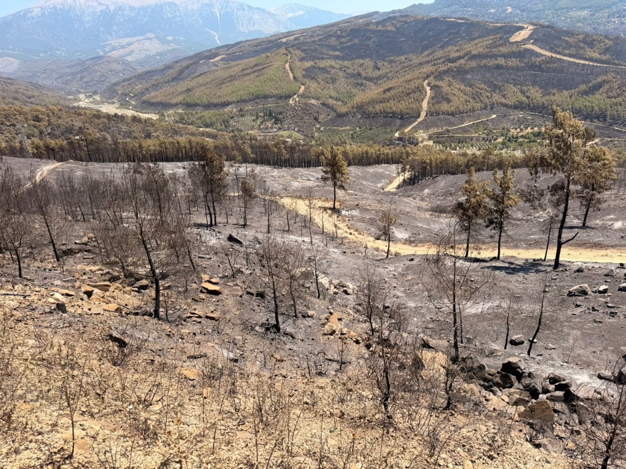 Muğla'nın Seydikemer ilçesindeki yangın tamamen kontrol altına alındı. İlçede yangından etkilenen ormanlık alanlar görüntülendi.