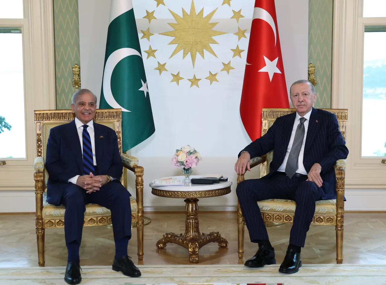 Cumhurbaşkanı Erdoğan, Pakistan lideri Şerifi kabul etti