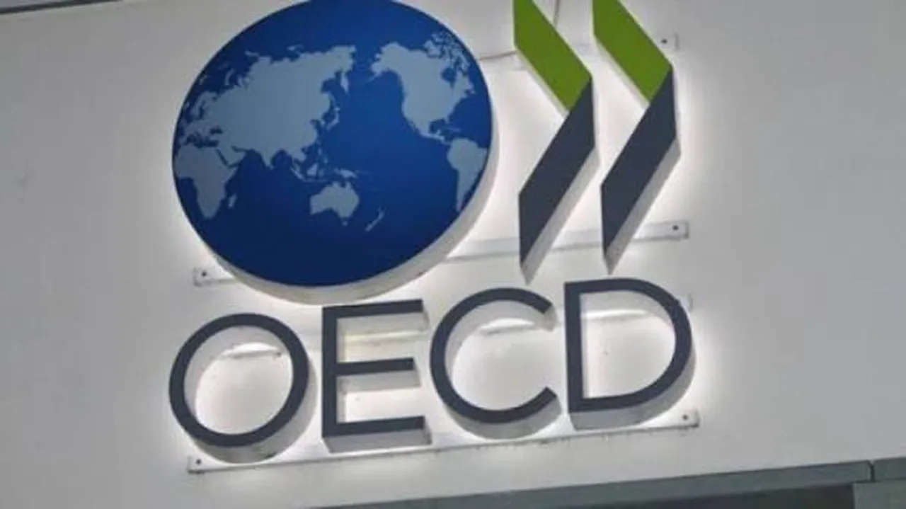OECD İstanbul Merkezi için imzalar tamam: Cumhurbaşkanı kararı yayımlandı