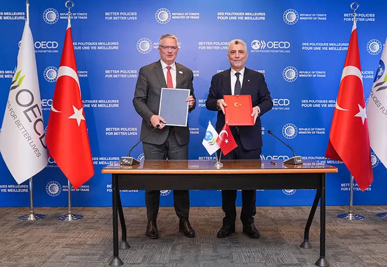 OECD İstanbul Merkezi için imzalar tamam: Cumhurbaşkanı kararı yayımlandı
