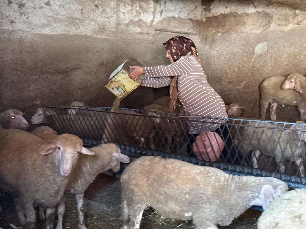 ‘Büyü’ cinayeti 2 çocuğu babasız bıraktı! “Benim gibi ciğerinden yansınlar”