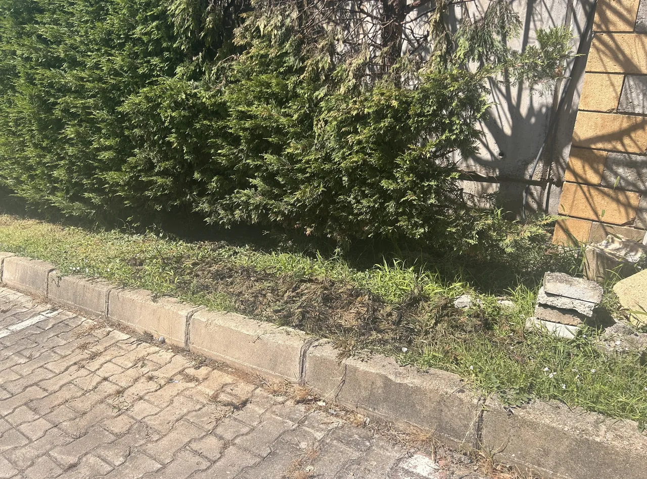İstanbul'da faciadan dönüldü! Kopan yüksek gerilim hattı yangına neden oldu