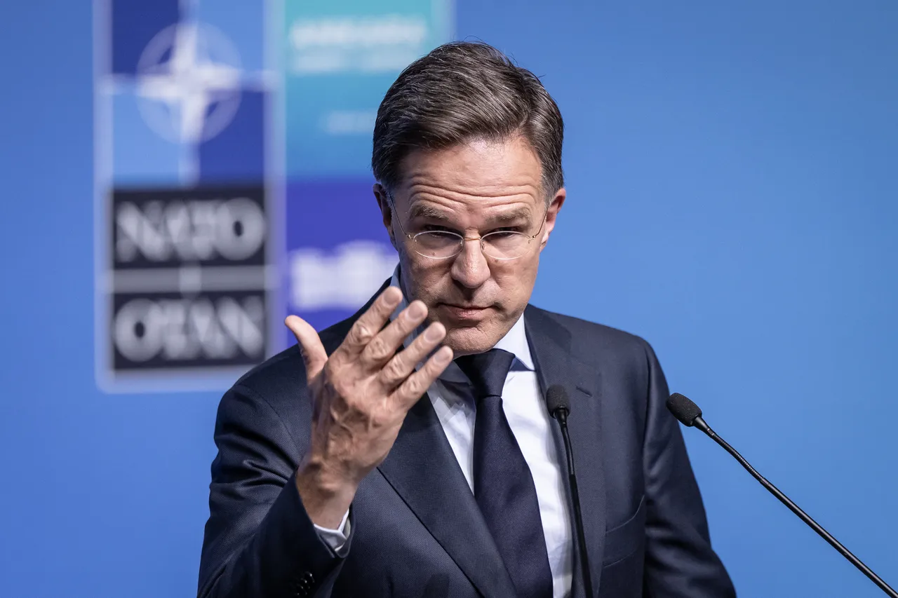 NATO, dünyaya mesajı Türkiye'den verdi: Arkansas'tan Ankara'ya kadar güçlü olmalıyız