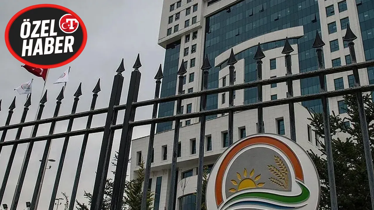 AB'nin kararı Türkiye'de de uygulanacak: Gıdada 'yapay tütsü'ye yasak geliyor