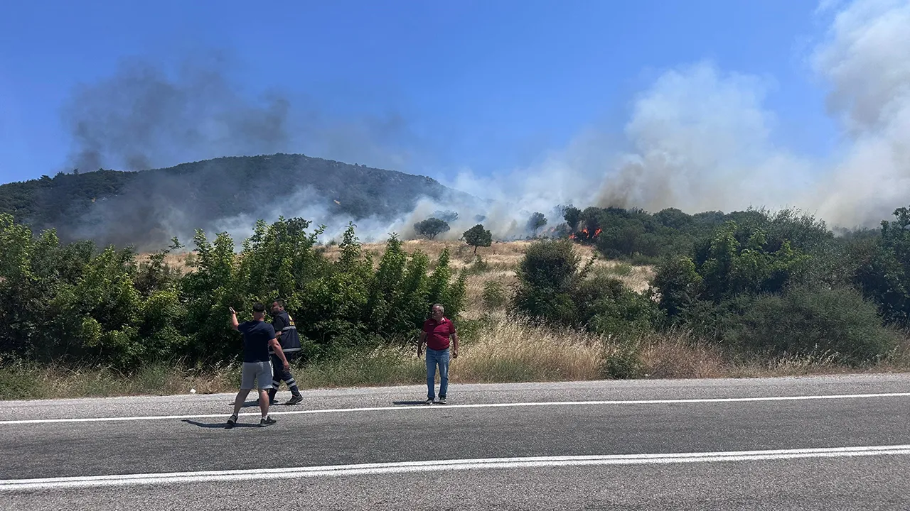 Çanakkale'de orman yangını! 