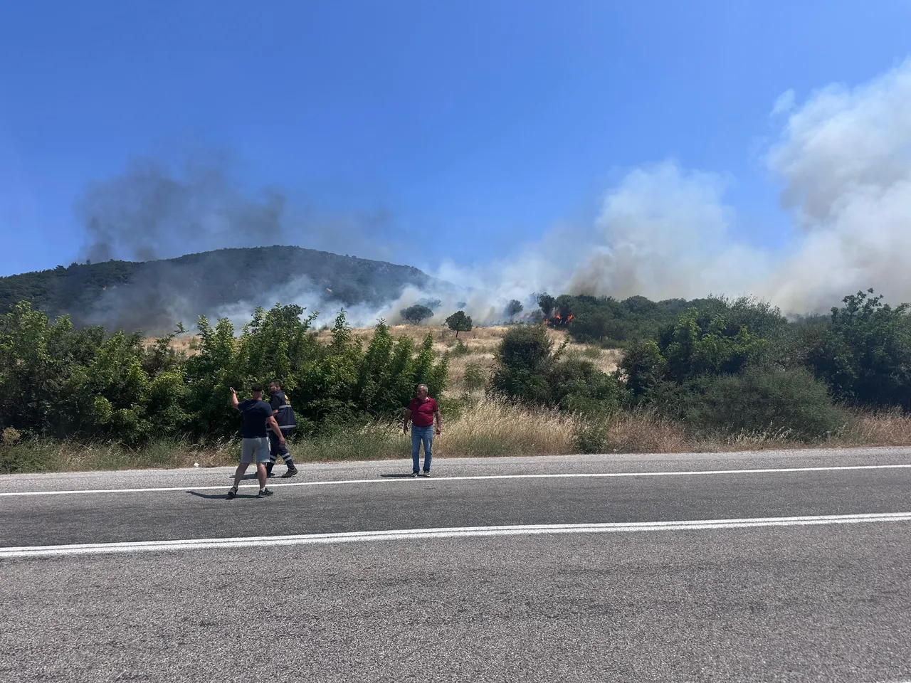 Çanakkalede orman yangını!