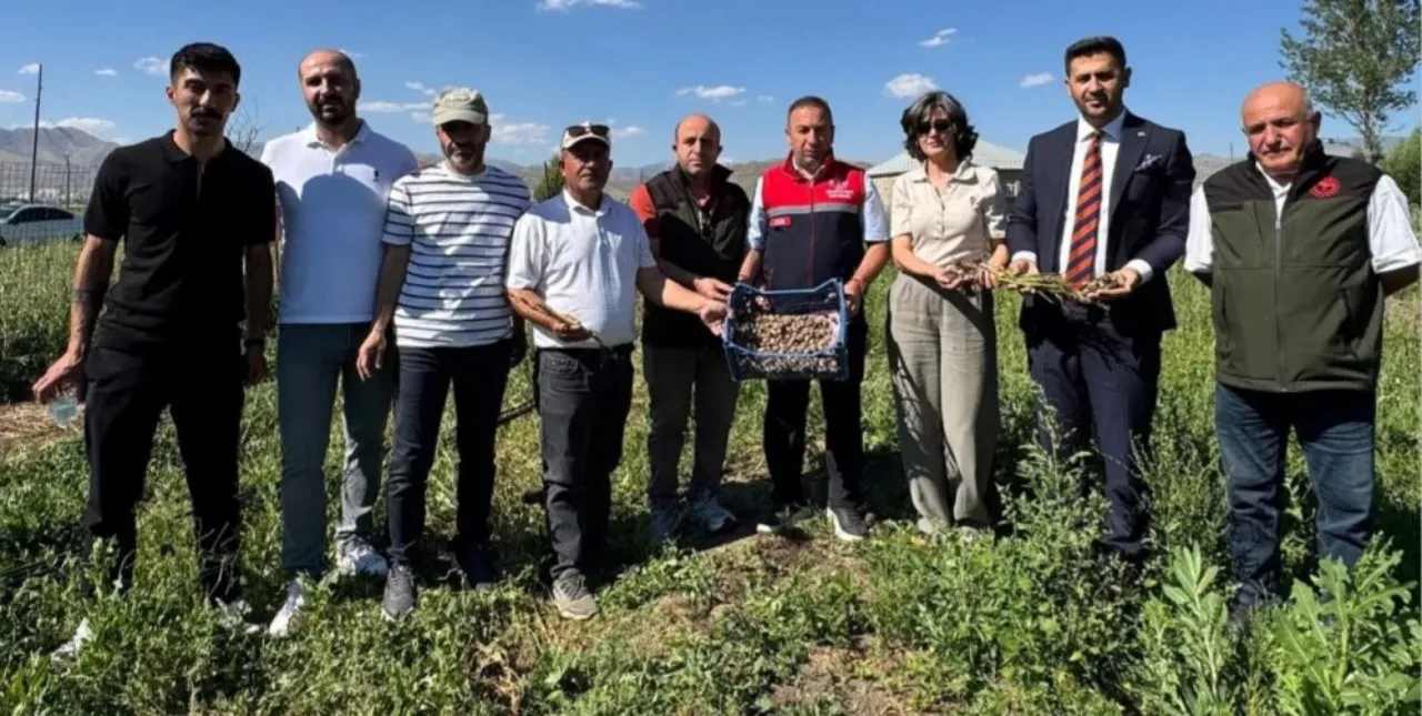 "Hakkari'de yetişmez" deniyordu, ilk hasat yapıldı! Kilosu 15 bin liraya satılıyor