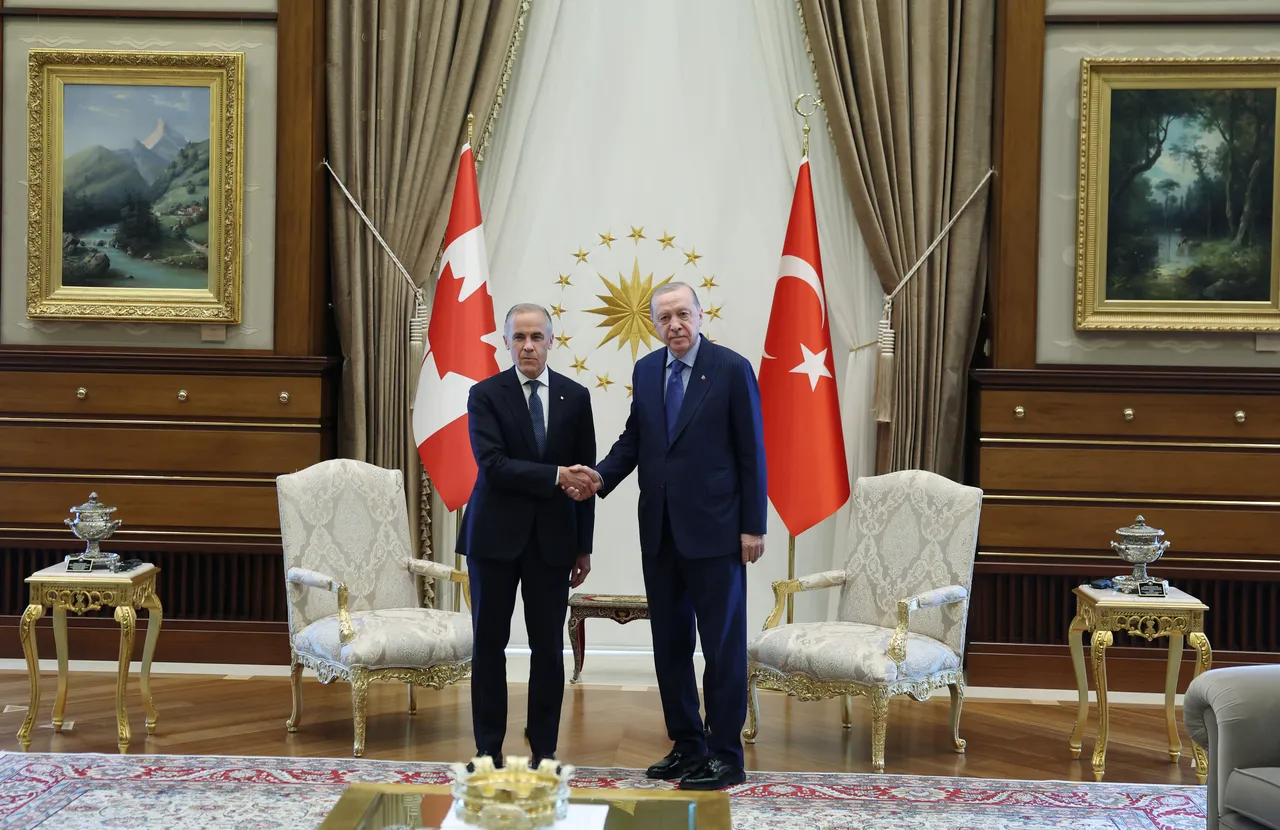 NATO mesaisi başladı! Cumhurbaşkanı Erdoğan, Kanada Başbakanı Carneyi kabul etti