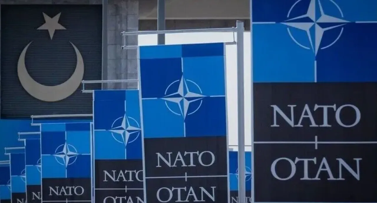 NATO zirvesine hangi ülkeler katılacak? NATO Zirvesi konuları