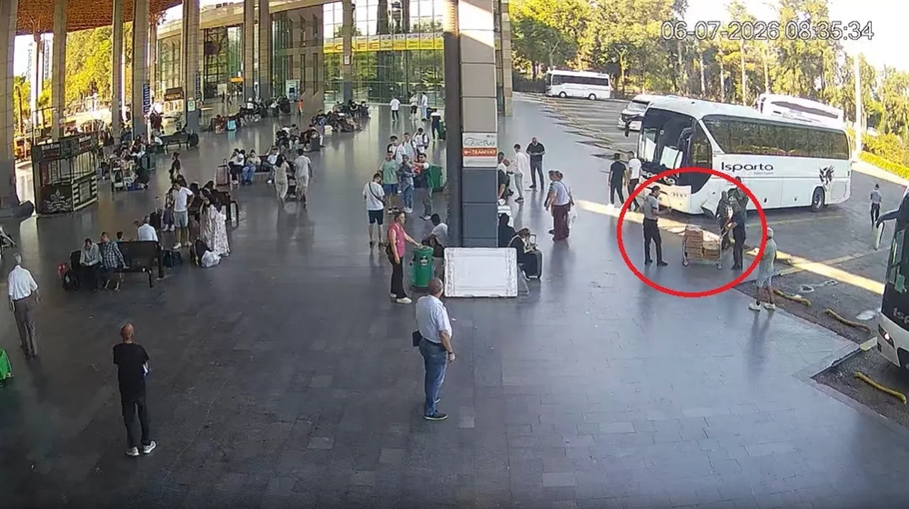 Tam 700 tane, hepsi kolide! Bursa’dan Antalya’ya otobüsle civciv göndermişler