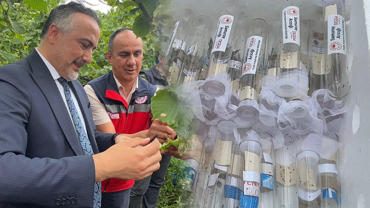 Bakanlık düğmeye bastı! Karadeniz'deki o kabusa karşı 