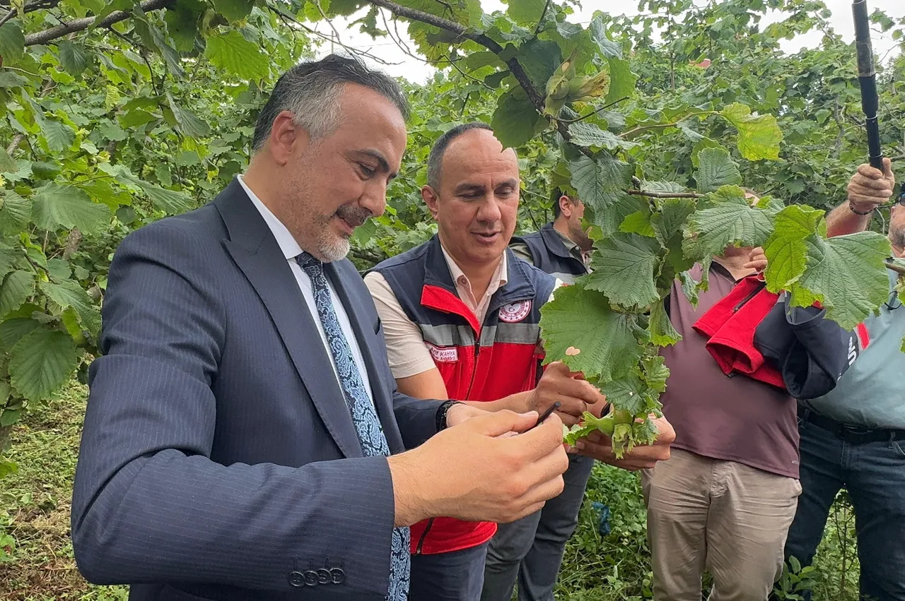 Bakanlık düğmeye bastı! Karadeniz'deki o kabusa karşı "gizli silah" sahaya indi