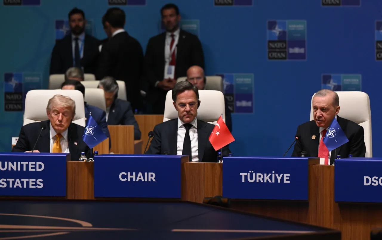 Dünya basını NATO Zirvesi'ni konuşuyor