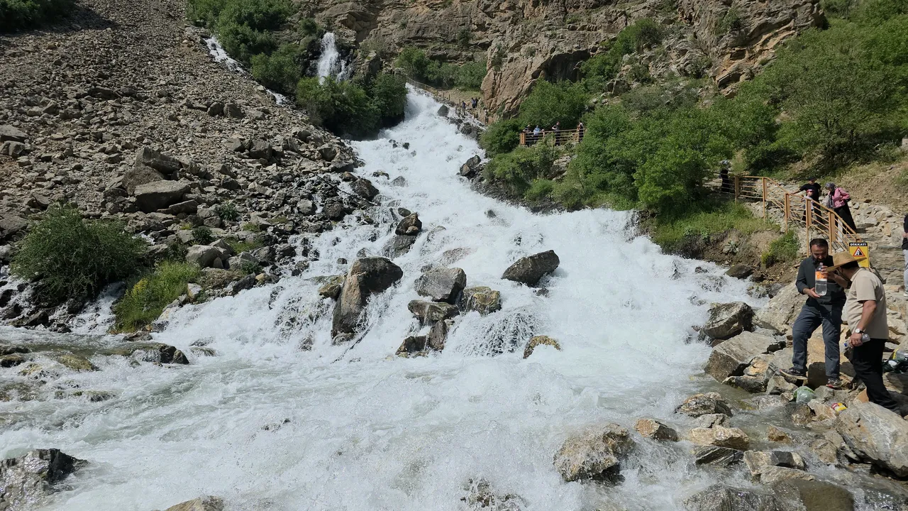 Kuraklığa inat Vanda yeniden doğuş!