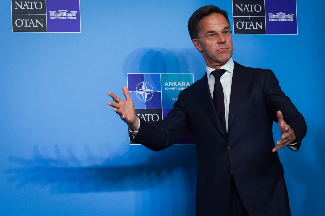 NATO Ankara Zirvesi sona erdi! Rutteden önemli açıklamalar