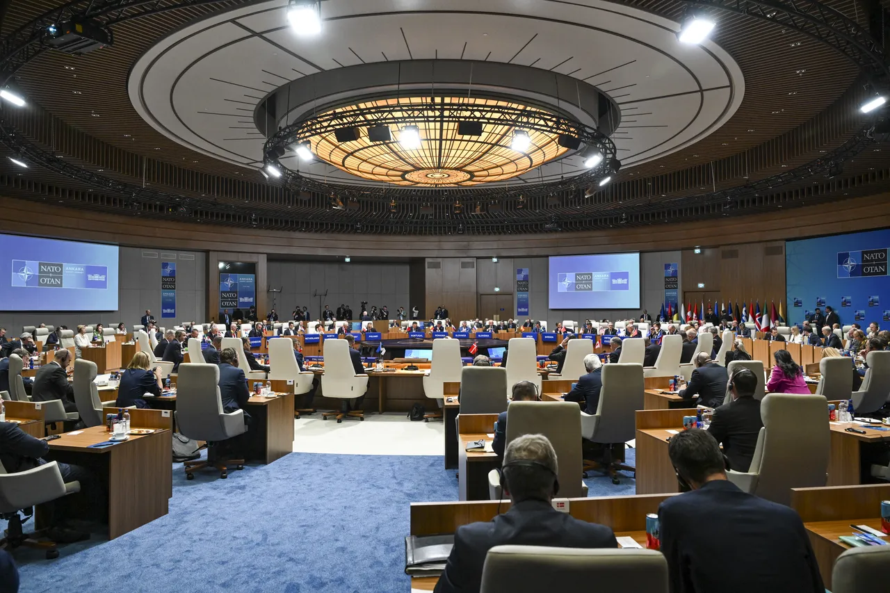 NATO liderlerinden aile pozu! Cumhurbaşkanı Erdoğan'dan net mesaj: Kısıtlamalar kaldırılmalı