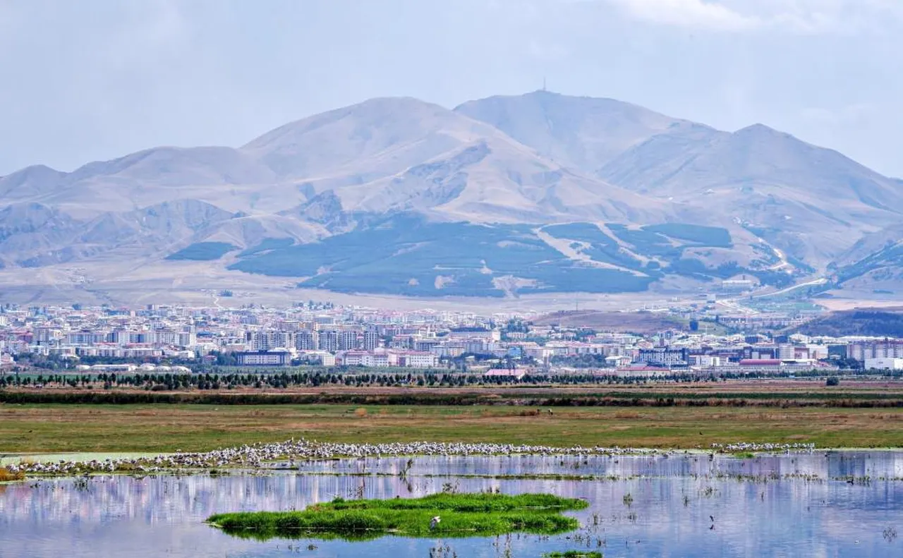 Erzurum