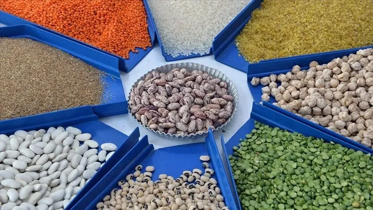 Türkiyeye 6 ayda 5,8 milyar dolar kazandırdı! İşte en çok ihraç edilen o ürün