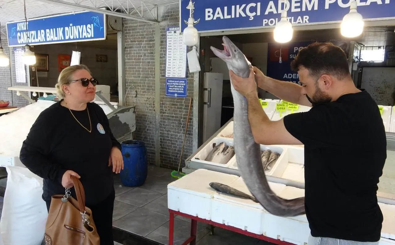 "Akdeniz'de varsa biz nasıl yüzeceğiz?" Mersin'de yakalanan dev balık korkuttu