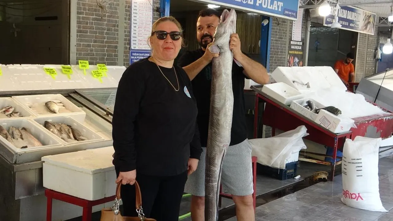"Akdeniz'de varsa biz nasıl yüzeceğiz?" Mersin'de yakalanan dev balık korkuttu