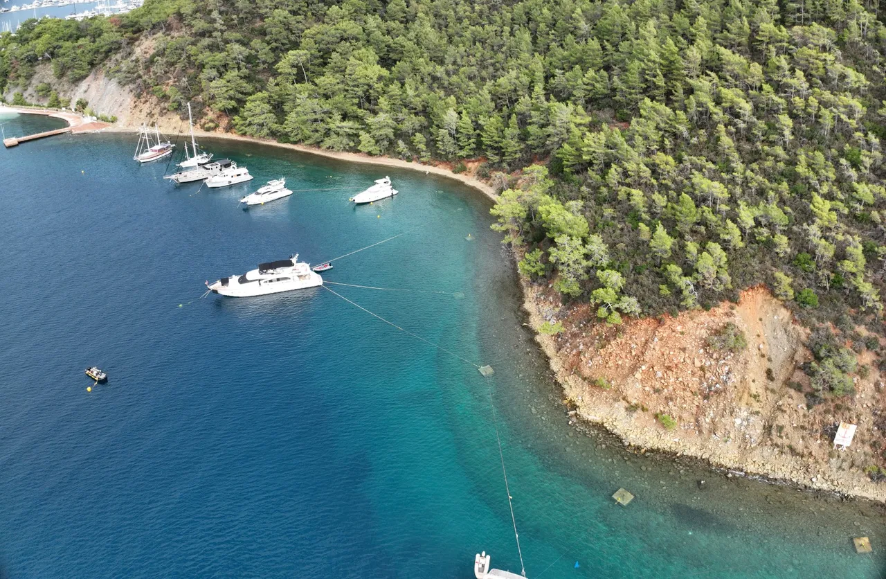 Koylar dijital Mapa-Şamandıra ile koruma altında! Göcek ve Dalaman'da ilk uygulama başladı