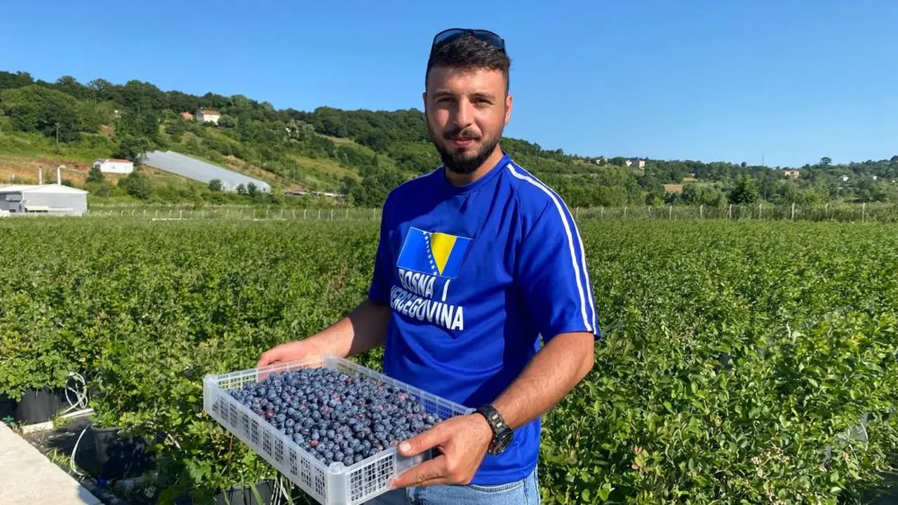 Sinop'ta "mavi altın" dönemi! Kilosu 700 lira oldu, siparişlere yetişemiyorlar
