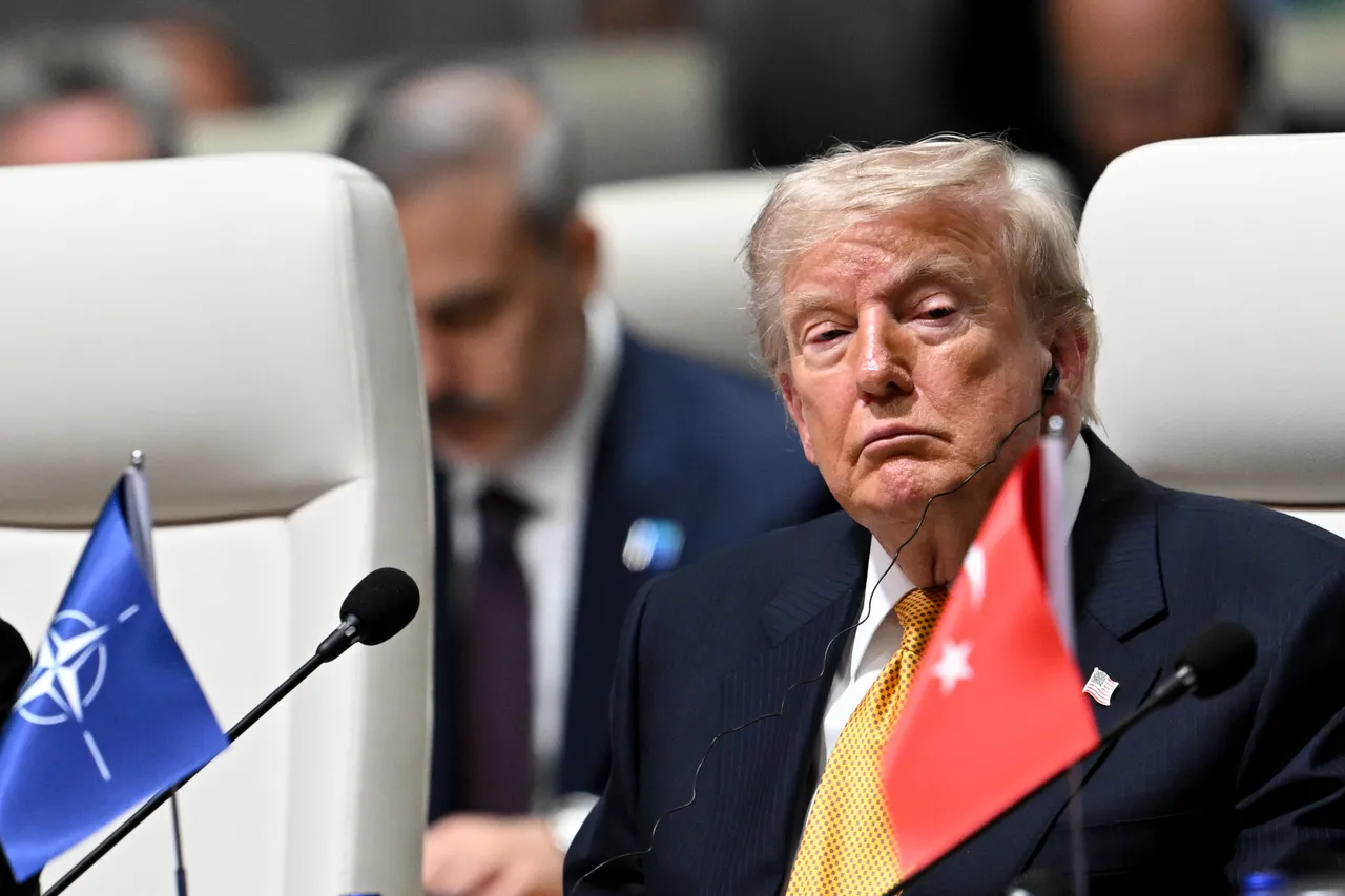 Trump, Cumhurbaşkanı Erdoğan'a övgüler düzdü: Harikaydı