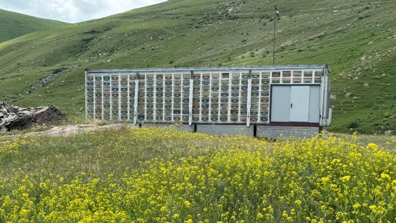 Dünyada nadir, Türkiye'de ilk! Kars'ta Türkiye'nin en büyük mobil arı üretim üssü kuruldu