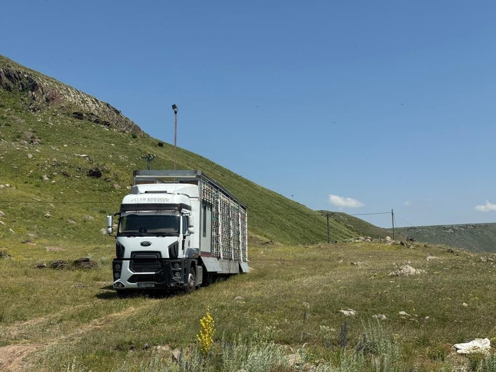 Dünyada nadir, Türkiye'de ilk! Kars'ta Türkiye'nin en büyük mobil arı üretim üssü kuruldu