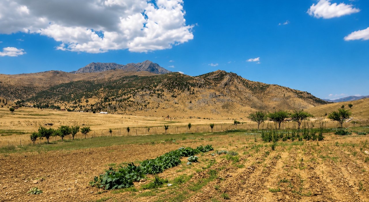 4 yıl dayanamadılar! Bitlis’ten Şırnak’a taşınan köyde isyan bayrakları çekildi: Yeniden Bitlise bağlansın