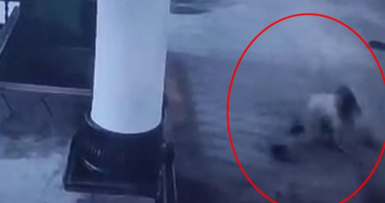 Arkadaşlarıyla iddialaşıp caminin ikinci katından atladı! Yürekleri ağza getiren olay kamerada