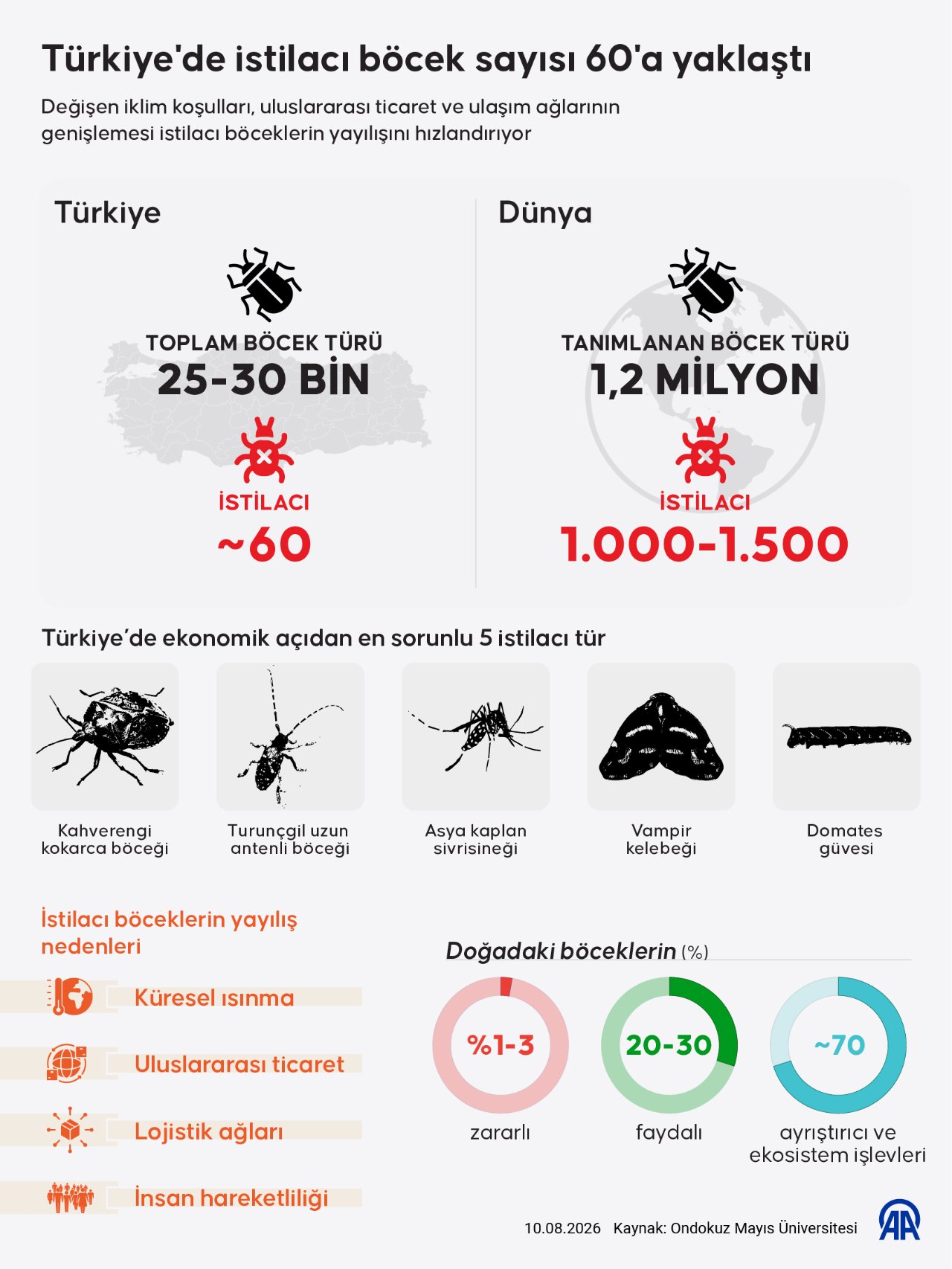 Tehlike kapıda! İstilacı böcek türü sayısında tehlikeli artış